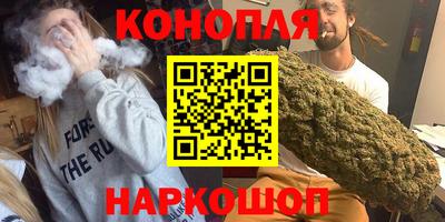 прущие грибы Будённовск