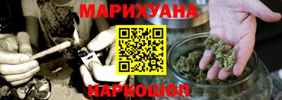прущие грибы Будённовск