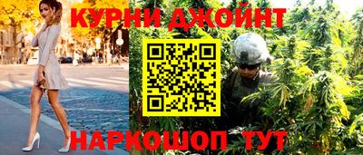 прущие грибы Будённовск
