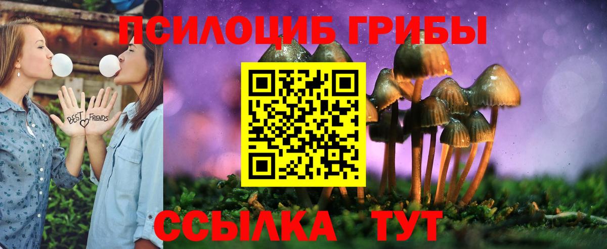 Псилоцибиновые грибы мухоморы Спасск-Дальний