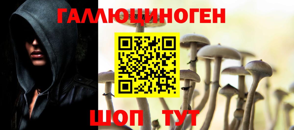 купить закладку  Псилоцибиновые грибы MAGIC MUSHROOMS  Вход с VPN  Спасск-Дальний  Галлюциногенные грибы GOLDEN TEACHER 